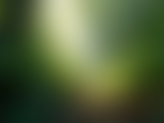 Adventure Media Insights: Understanding AdvenJungle Media