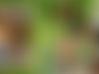 From Tragedy to Fortune