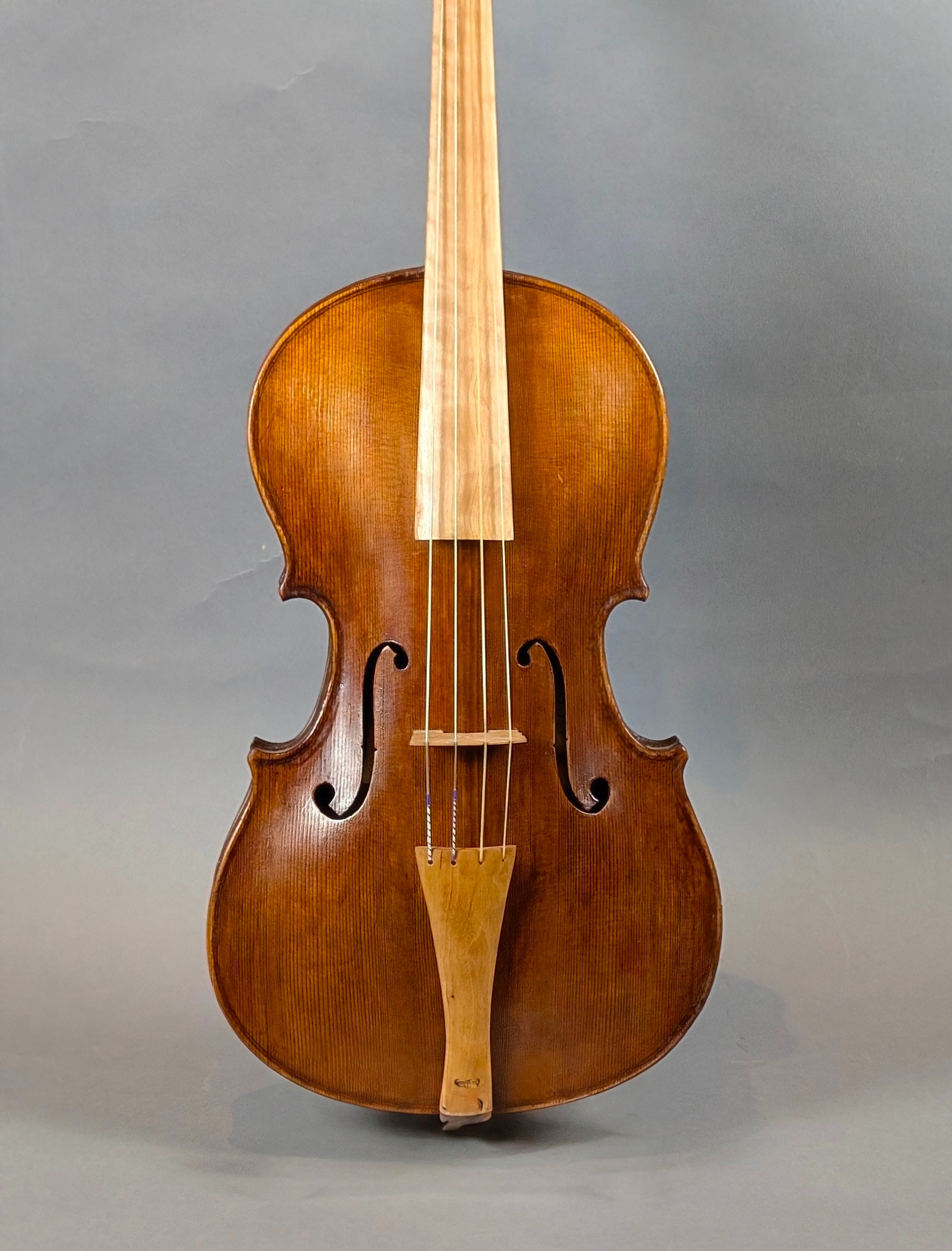 Baroque Viola by Douglas Cox