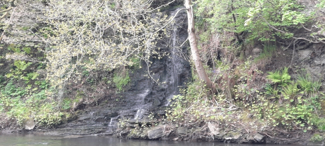 20210517_152555-ANIMATION.gif