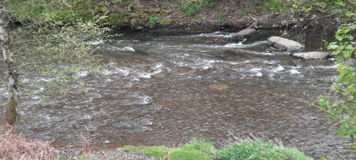 20210517_152719-ANIMATION.gif