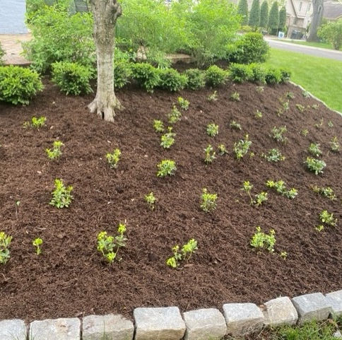 Morris Lawn & Landscaping 