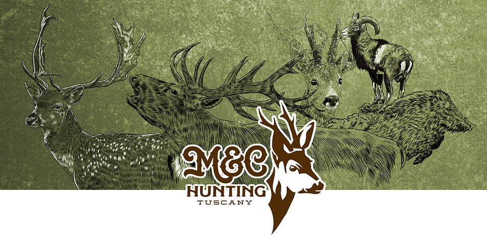 M&C animals.jpg