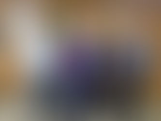 Presidente do CNPq, Olival Freire Júnior, reunido com os pesquisadores do Ceagre na sede do Conselho em Brasília (DF). 