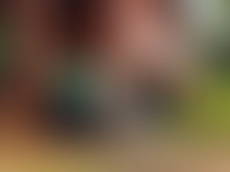 Corpo docente da EMREF Cabeceira Alta e pesquisadores do Ceagre reunidos na fachada da escola. 