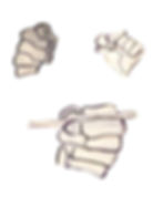 Anatomy2
