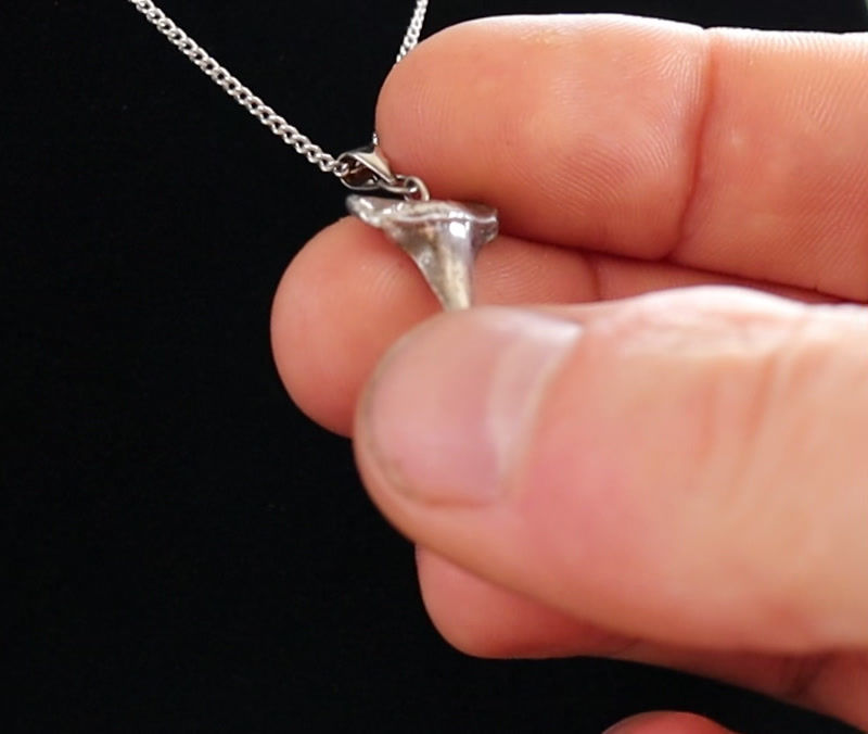 Thumbnail: Shark Tooth Pendant