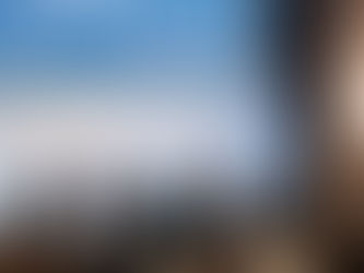 Stockholm School of Economics Green Transition Panel Features Marcelo Paiva