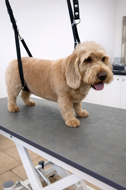 ChatGPT Image Jan 14, 2026, 02_16_24 PM