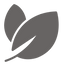 leaf_edited_edited.png