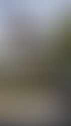 SD - LORA AIDVN TOWN HOUSE