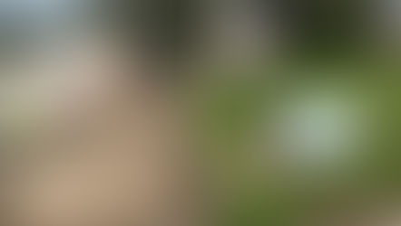 Lots of Projects Underway!