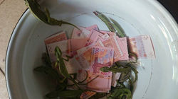 pdtEuApP4z3EInnowYGCXxr8JCI