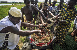 travaux-occultes-maitre-marabout-voyant-medium-vaudou-bacus