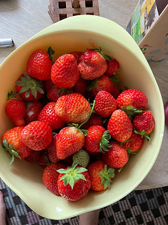 IMG_8932.jpeg
