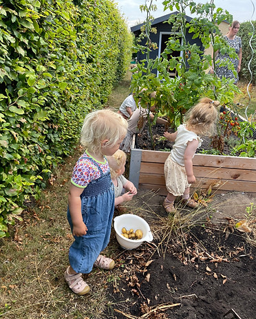 kids veg garden.jpg