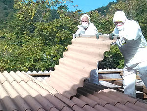 IMG_20131007_101530 ritagliata.jpg