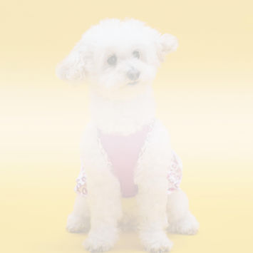 Groom To Bloom_Puppy1.jpg