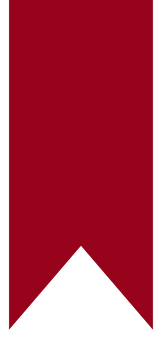 LIVE OUT LOUD BE BOLD (2).png