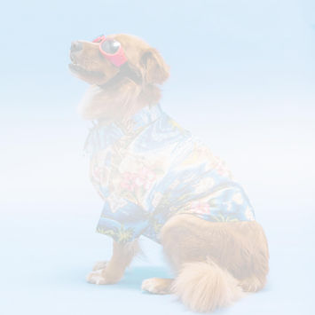 Groom To Bloom_Puppy1.jpg