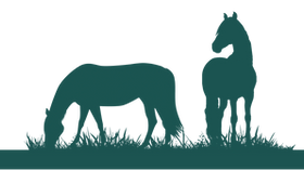grazing horses - Elevate your mare's well-being with Balanced Mare Blend by Twenty Four Carrots. Our carefully selected ingredients work synergistically to balance hormones, reduce inflammation, and promote a calm demeanor. Experience comprehensive hormonal support, highly bioavailable nutrients, and natural calming properties. Plus, our blend is rich in vitamins, amino acids, and magnesium, offering daily nutritional support for every mare. Veterinarian recommended, all natural, low sugar, low glycemic for equines prone to laminitis, founder/ foundering, RI (insuline resistance), or on a low sugar diet. GMO-free, holistic equine nutrition.