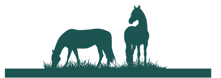 grazing horses - Choose from Low Sugar and Extra Low Sugar options for horses prone to laminitis, founder/ foundering, RI (insuline resistance), or on a low sugar diet. Veterinarian recommended, all natural, low sugar, low glycemic horse treats.