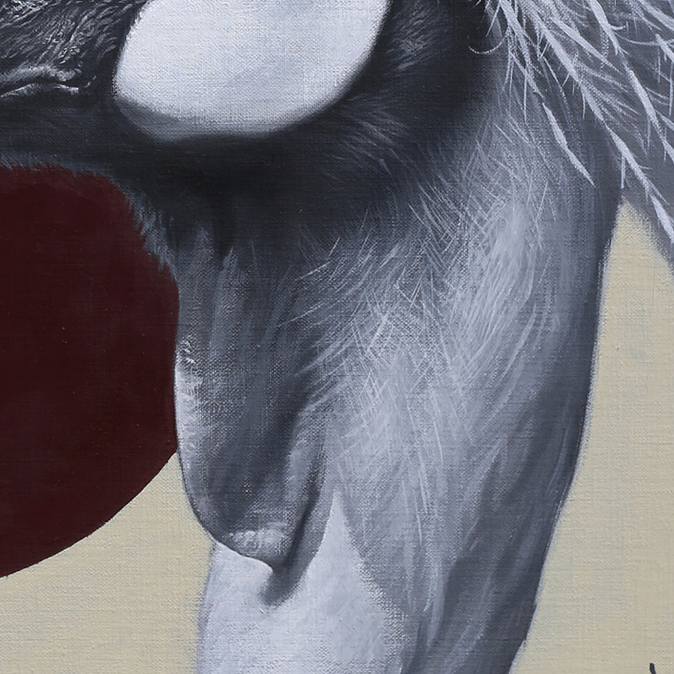 Thumbnail: The Moment - Grey crowned crane