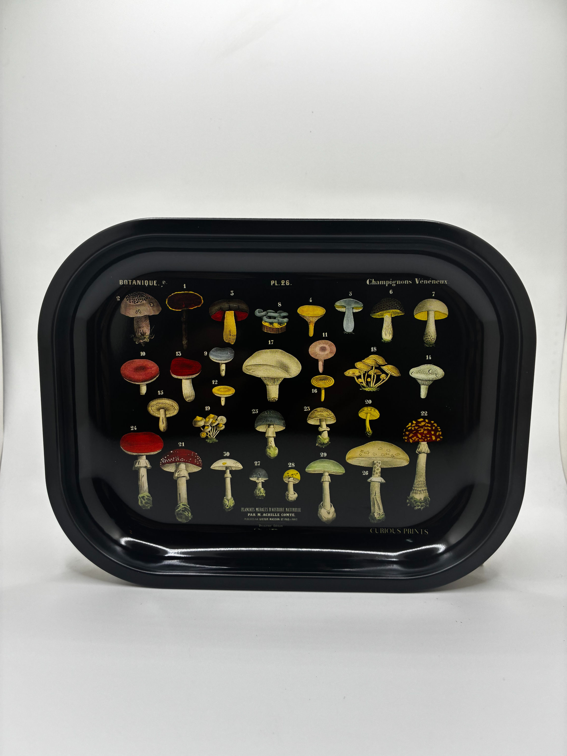 Black Mushroom Rolling Tray