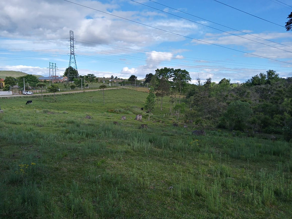 Miniatura: VENDE-SE Chácara Central com área de 16.000 mt2