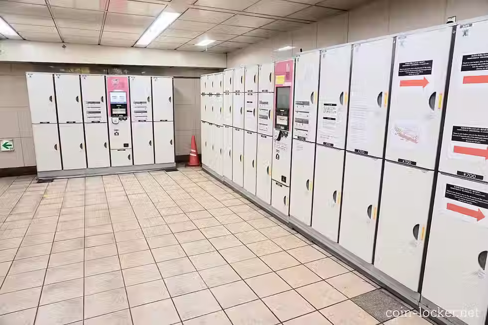 Complete Guide to Luggage Storage & Coin Lockers Near Senso-ji Temple