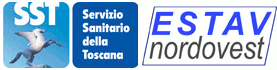 logo versilia.gif