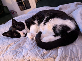 Luna