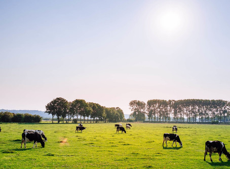 High Court Judgement of 31 July 2020 a big win for science and the environment