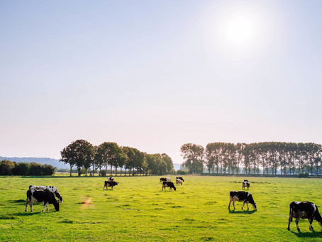 High Court Judgement of 31 July 2020 a big win for science and the environment