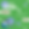 Zoom Registration.png