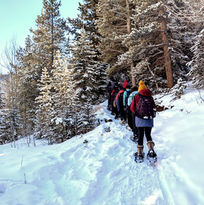 Snowshoeing group on snowy trail, winter hike