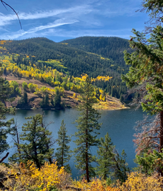 Scenic autumn lake view, golden aspen trees