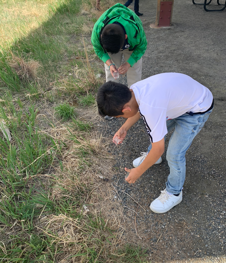 Two boys conducting fieldwork, examining small objects