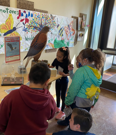 Children examining hawk exhibit with "Promotores" banner