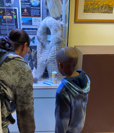 chaperone and student viewing museum exhibit
