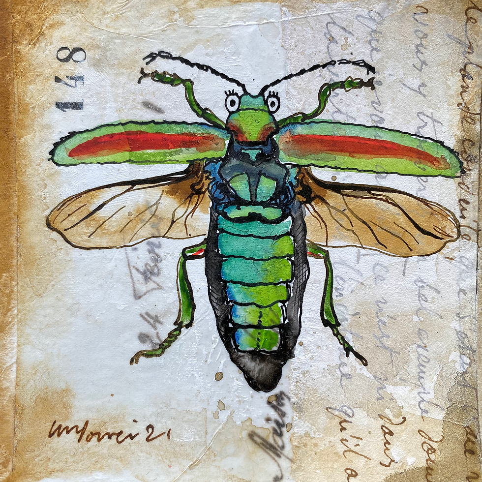 Thumbnail: Jewel Beetle  ‘Chrysochroa Rajah’ Original ink and watercolour Painting