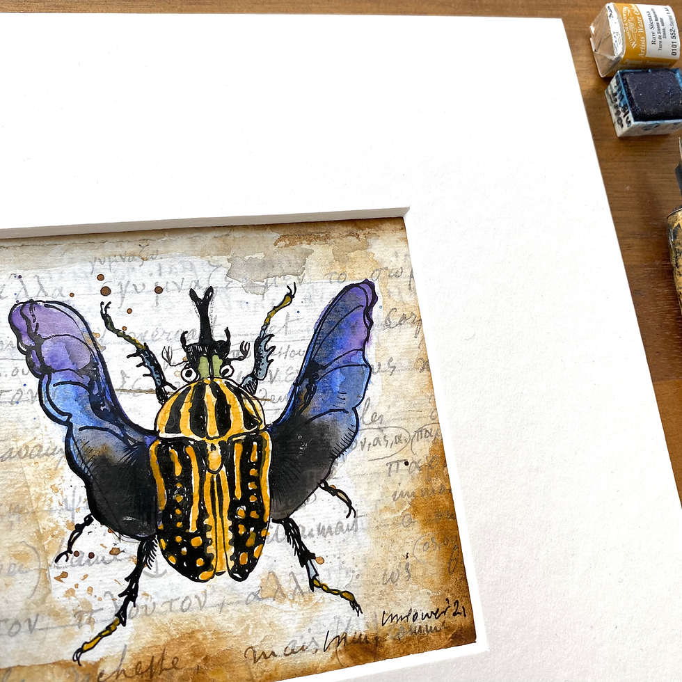 Thumbnail: Scarab Beetle  ‘Chelorrhina Savegei’ Original ink and watercolour Painting