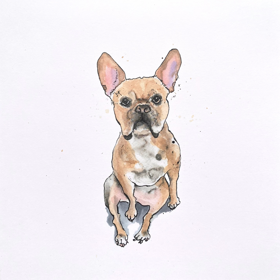 Thumbnail: Fawn and white French Bulldog Card