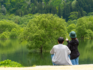 【感謝】いよいよ5月17日(日)をもって今シーズンの「水没林ライトアップ」がフィナーレを迎えます!