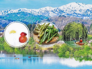 【車がなくても大丈夫！】雪と春の奇跡を味わい尽くす大冒険✨DMC天童温泉「雪の贈り物ツアー」のご紹介♪