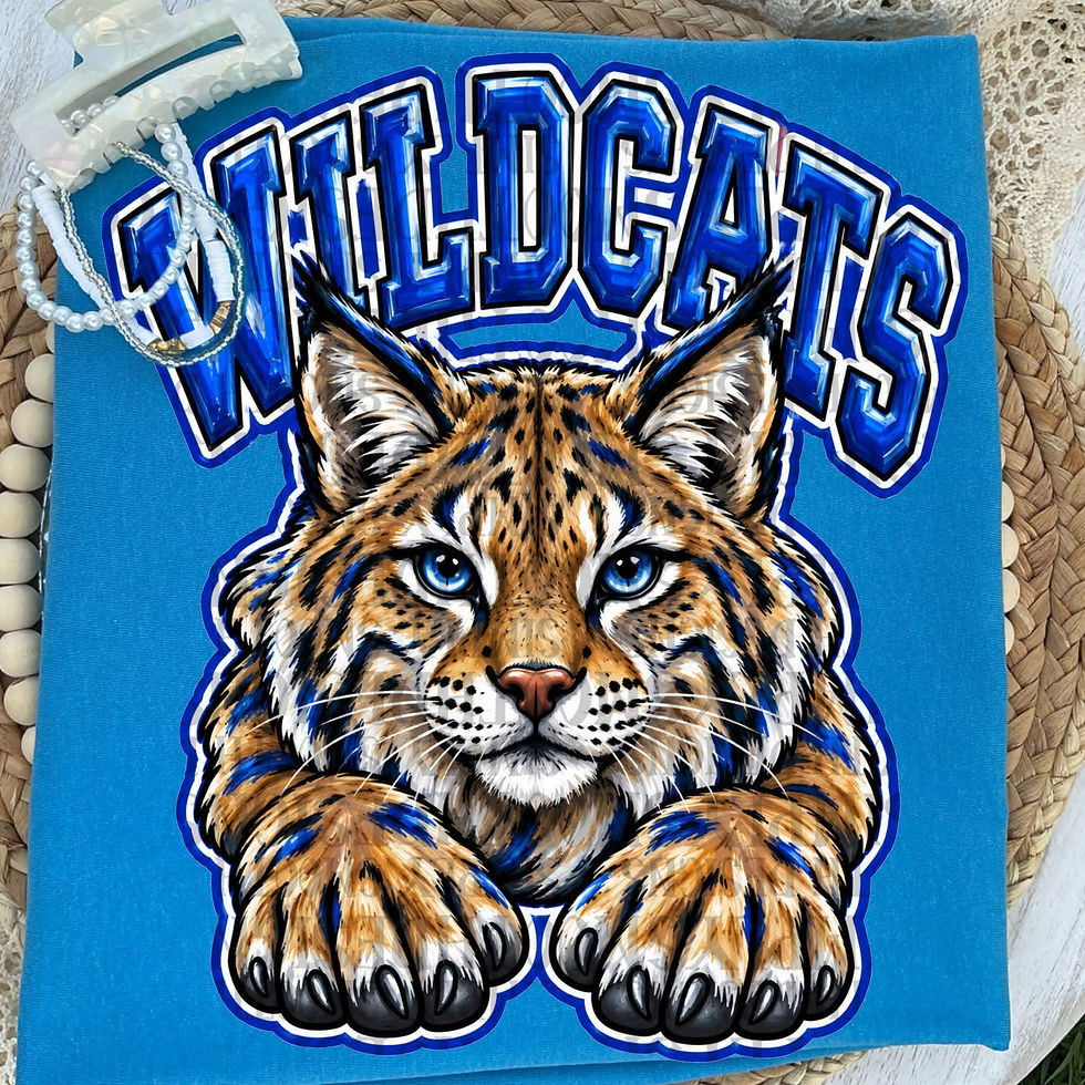 Thumbnail: Football Mascots