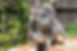 864FC462-46DE-4F68-BB63-8E5CFA1D505C.jpeg