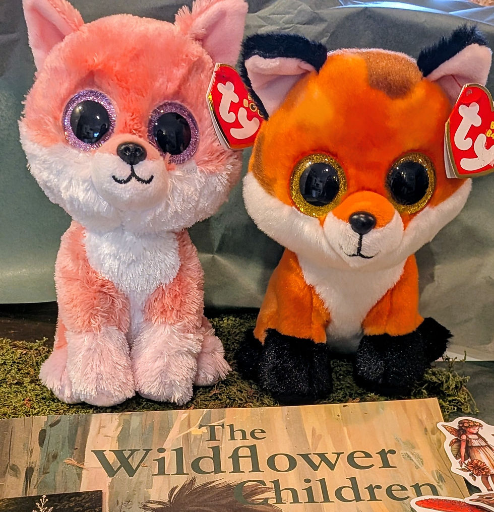 Thumbnail: The Wildflower Children Signed Hardcover Gift Set