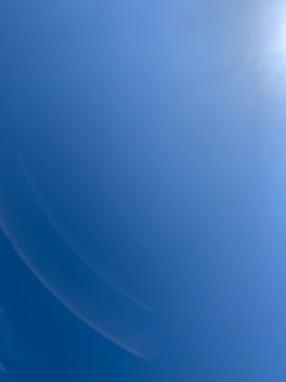 343634775_764627548637449_6626932875444174982_n.jpg