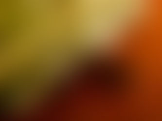 Market Collapse is not inevitable, but investors need to know that risk exists